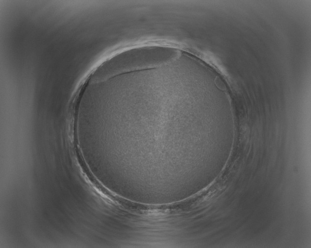 X0000083991504200702232057