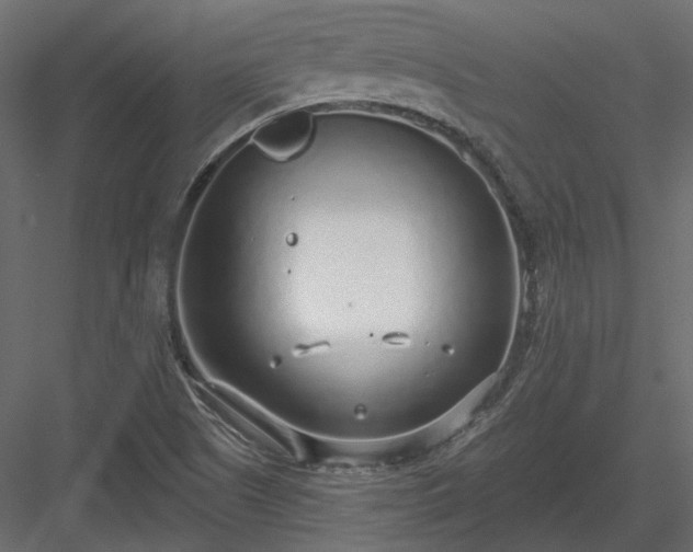 X0000083991505200702232057