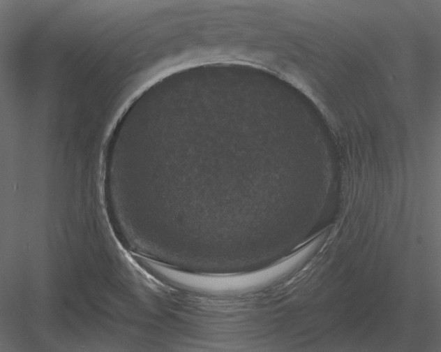 X0000083991508200702232057