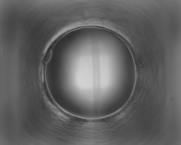 X0000083991510200702232057