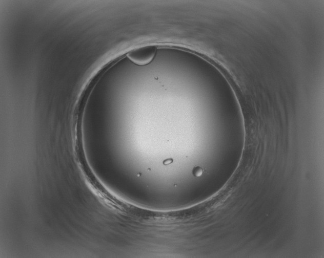 X0000083991511200702232057