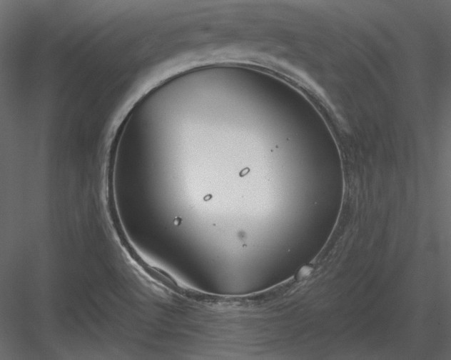 X0000083991512200702232057