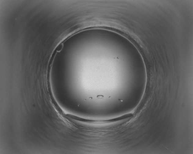 X0000083991513200702232057