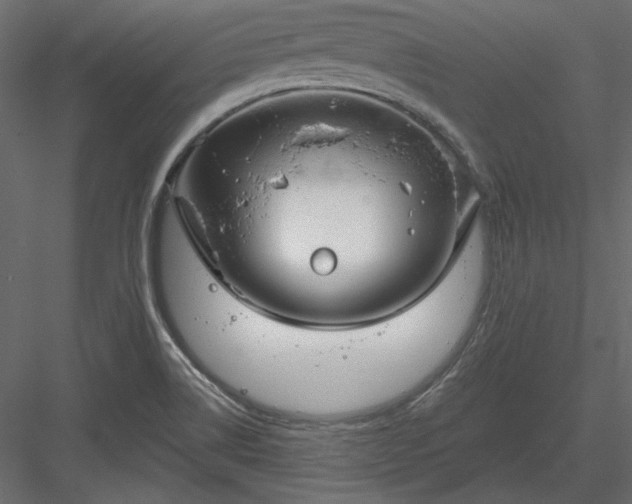 X0000083991514200702232057