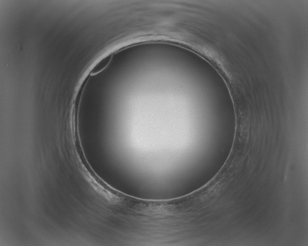 X0000083991516200702232057