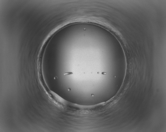 X0000083991517200702232057