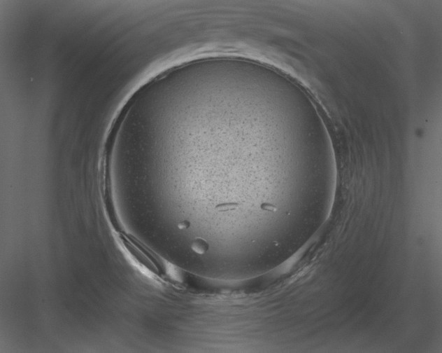 X0000083991519200702232057