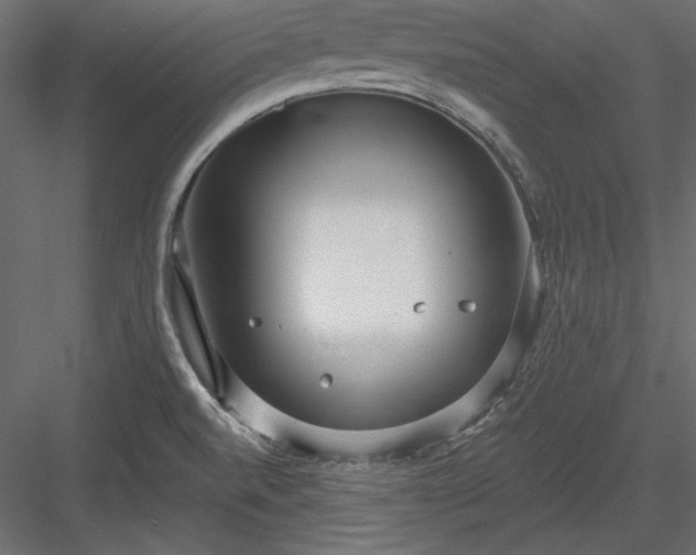 X0000083991520200702232057