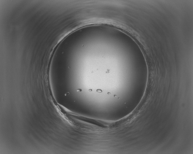 X0000083991521200702232057