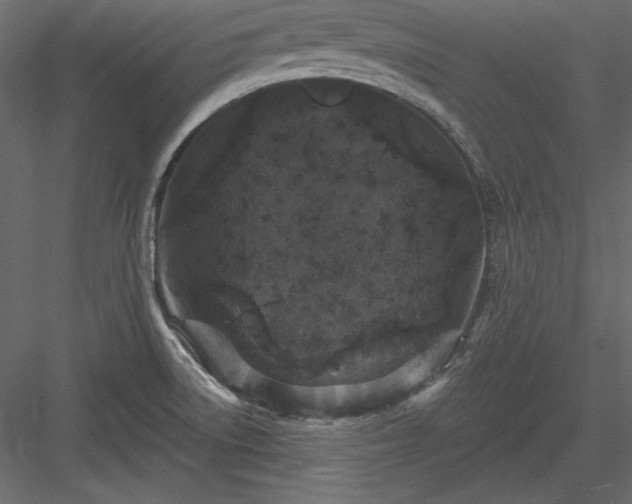 X0000083991522200702232057