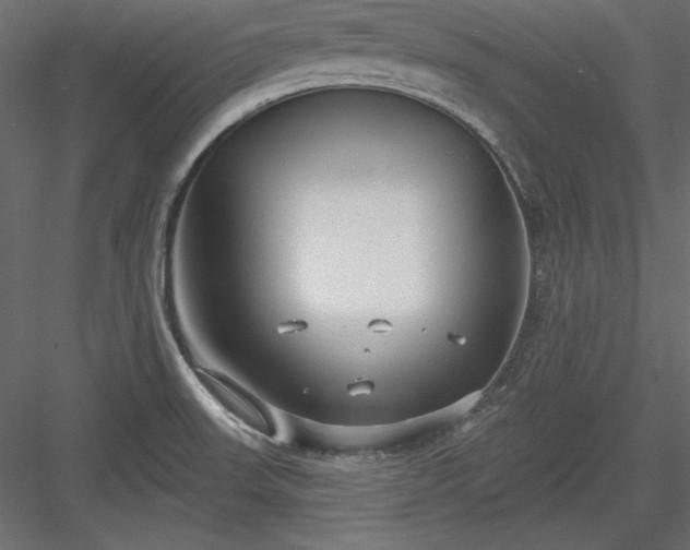 X0000083991523200702232057