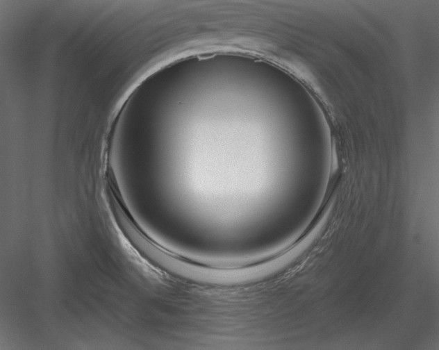 X0000083991524200702232057