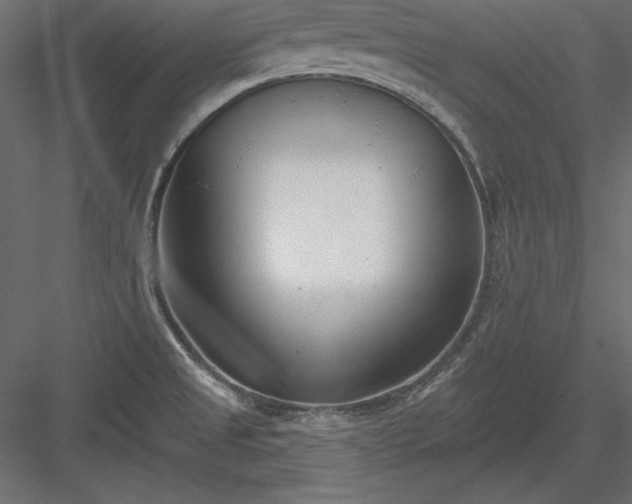 X0000083991525200702232057