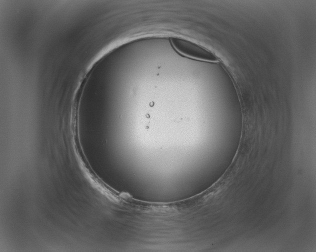 X0000083991526200702232057