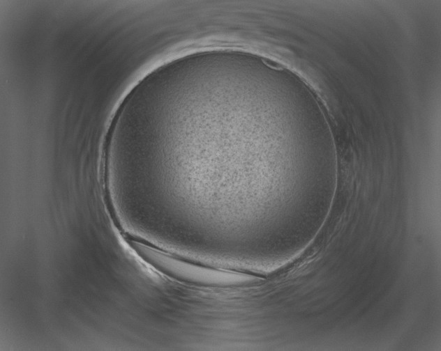 X0000083991527200702232057