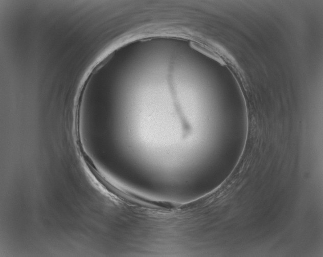 X0000083991528200702232057