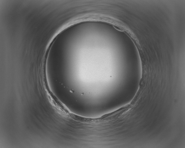 X0000083991530200702232057