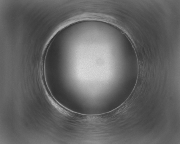 X0000083991531200702232057