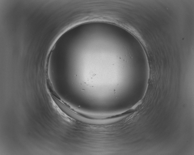 X0000083991532200702232057