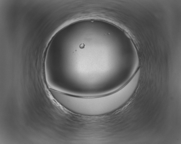 X0000083991534200702232058