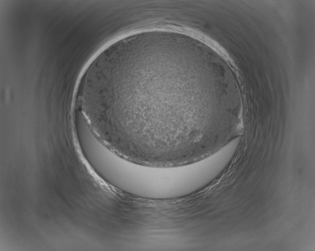 X0000083991536200702232058