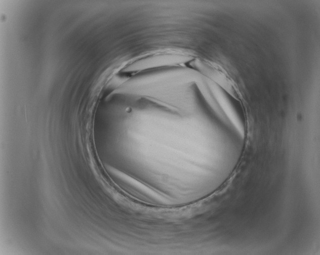 X0000083990001200703021951