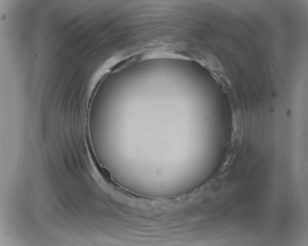 X0000083990003200703021951