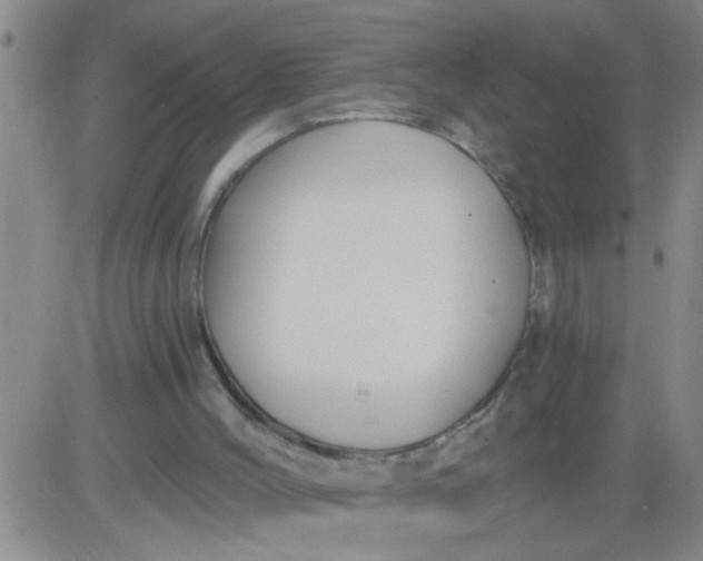 X0000083990004200703021951