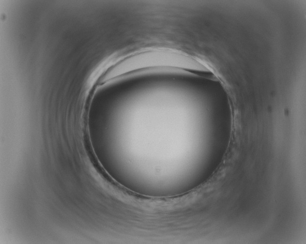 X0000083990007200703021951