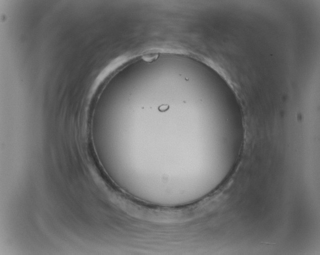 X0000083990008200703021951