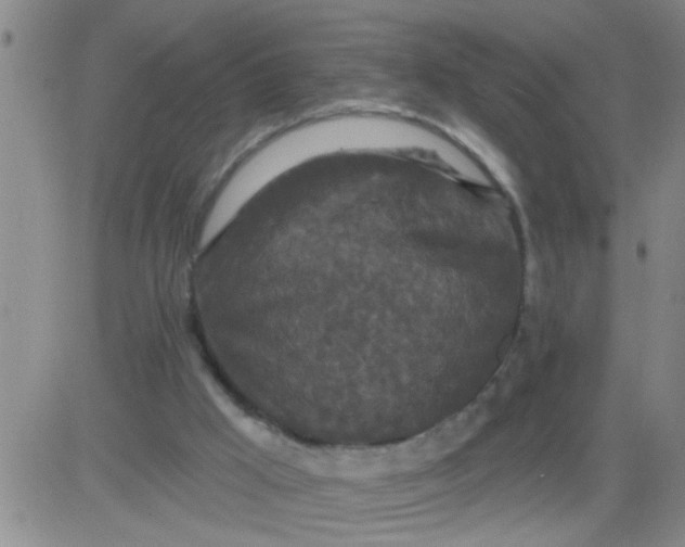 X0000083990009200703021951