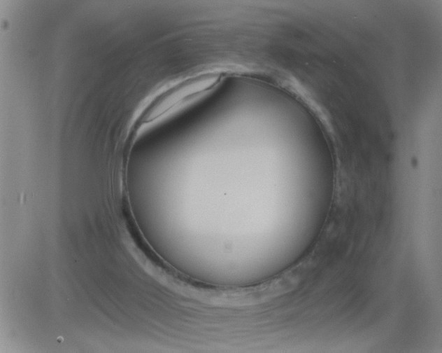 X0000083990011200703021951