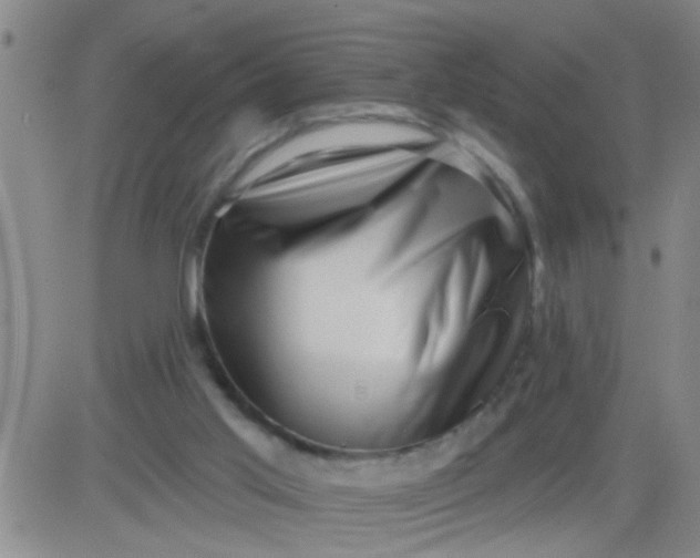 X0000083990013200703021951