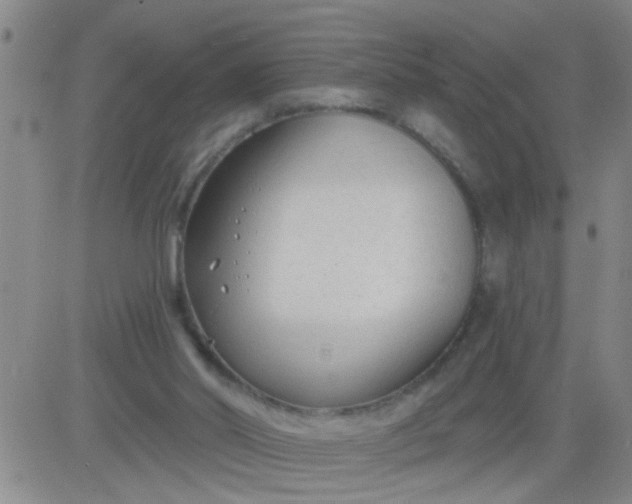 X0000083990014200703021951