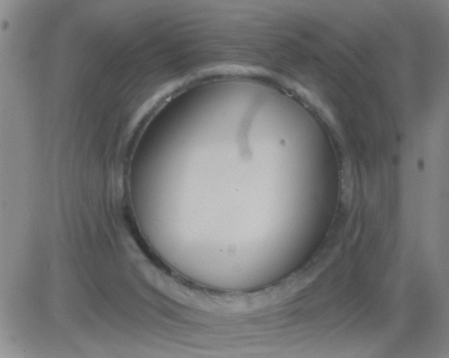 X0000083990015200703021951