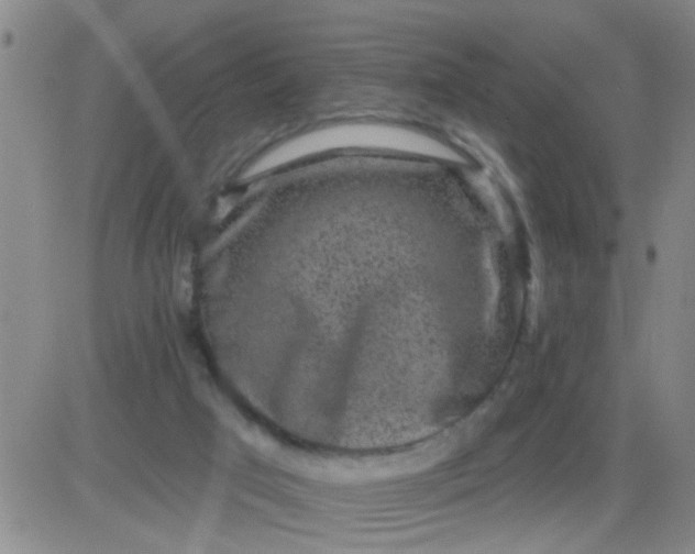 X0000083990017200703021951