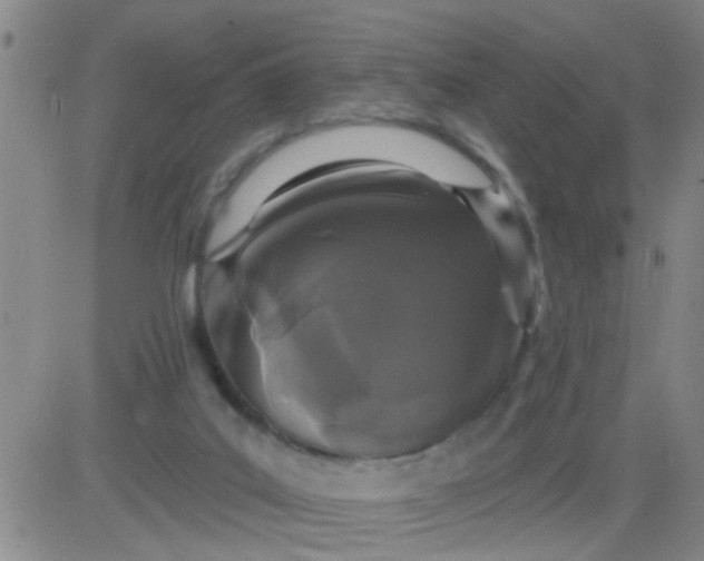 X0000083990019200703021951