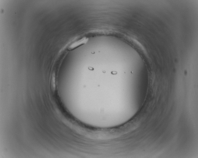 X0000083990020200703021951