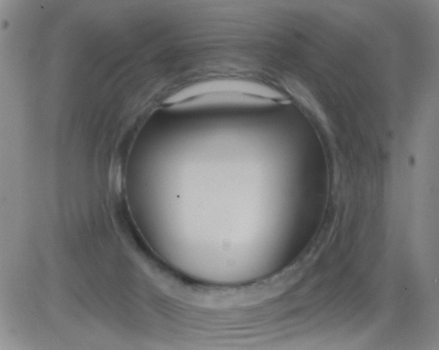 X0000083990021200703021951