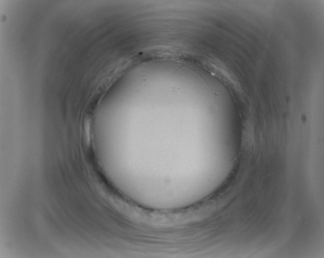 X0000083990022200703021951