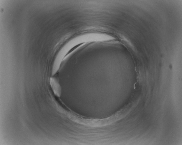 X0000083990023200703021951