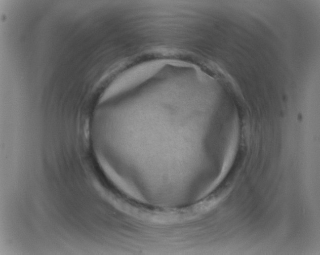 X0000083990024200703021951