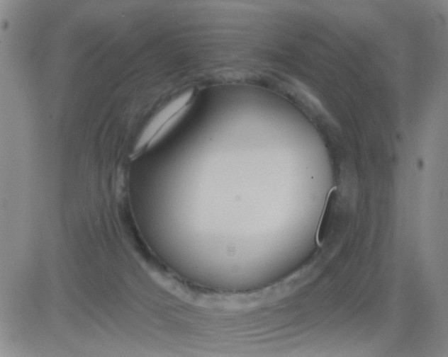 X0000083990025200703021951