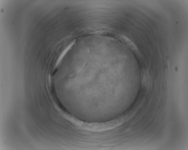 X0000083990026200703021951