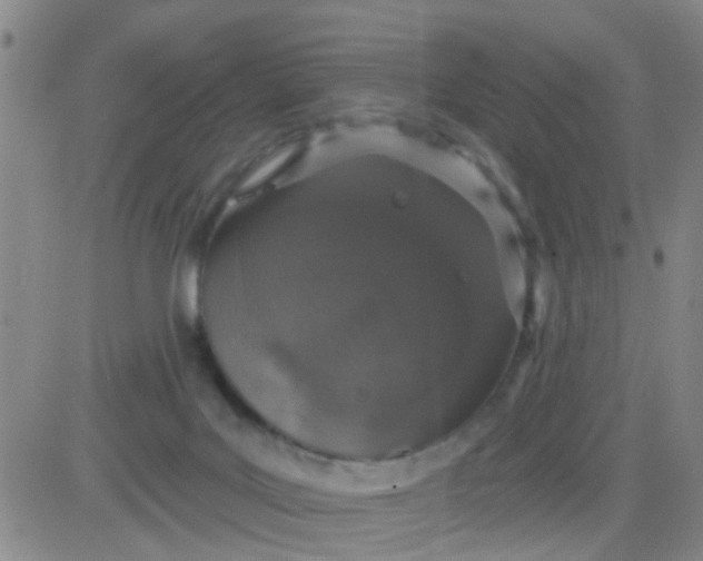 X0000083990027200703021951