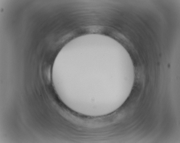 X0000083990028200703021951