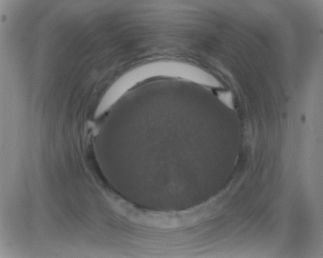 X0000083990029200703021951