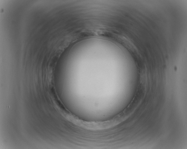 X0000083990030200703021951