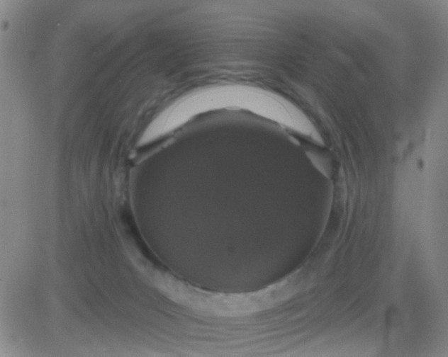 X0000083990031200703021951