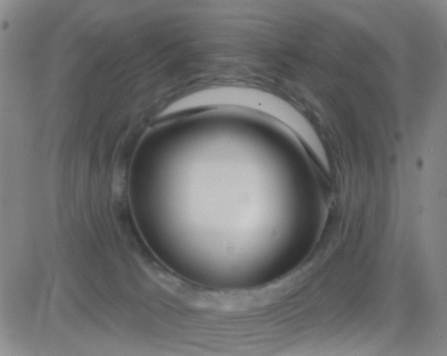 X0000083990033200703021951